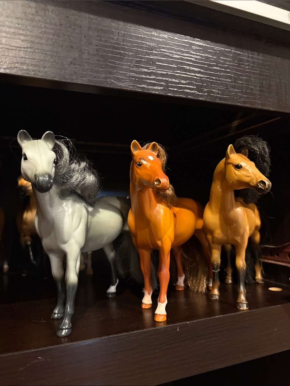 Grand Champion Horses